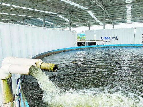 從土塘到工廠 江門水產(chǎn)養(yǎng)殖與家畜飼養(yǎng)的標(biāo)準(zhǔn)化之路